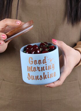 北欧陶瓷木盖密封罐储物保鲜罐干果杂粮茶叶食品Z收纳罐摆件