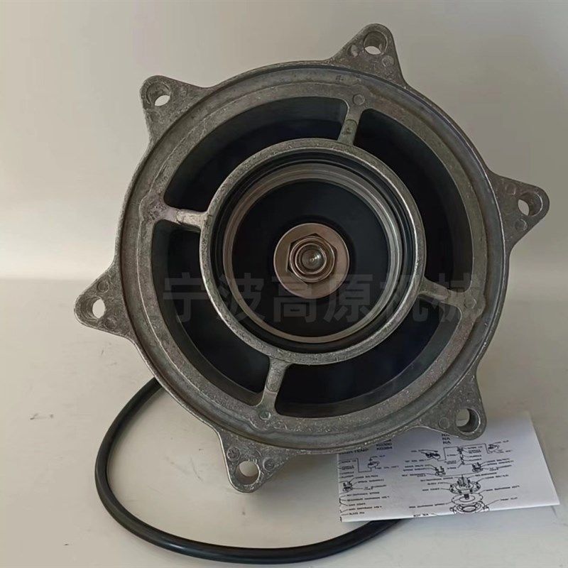 Pretty Goyen Diaphrsagm Valve RCAC25T4002 RCAA3DM 1寸脉冲阀