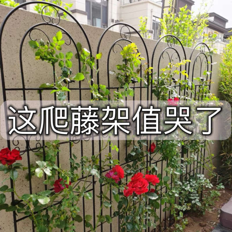 铁线莲月季爬藤架子蔷薇植物攀爬网花架户外庭院花园铁艺栅栏支