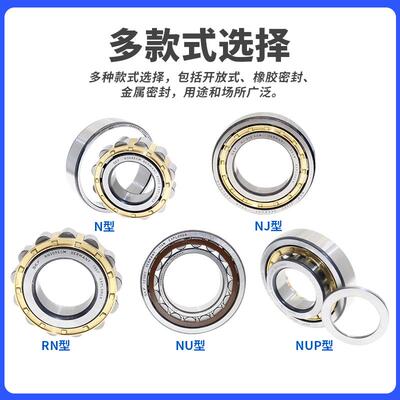原装进口SKF圆柱滚子轴承 NJ NU 244 248 252 256 260 264 ECM C3