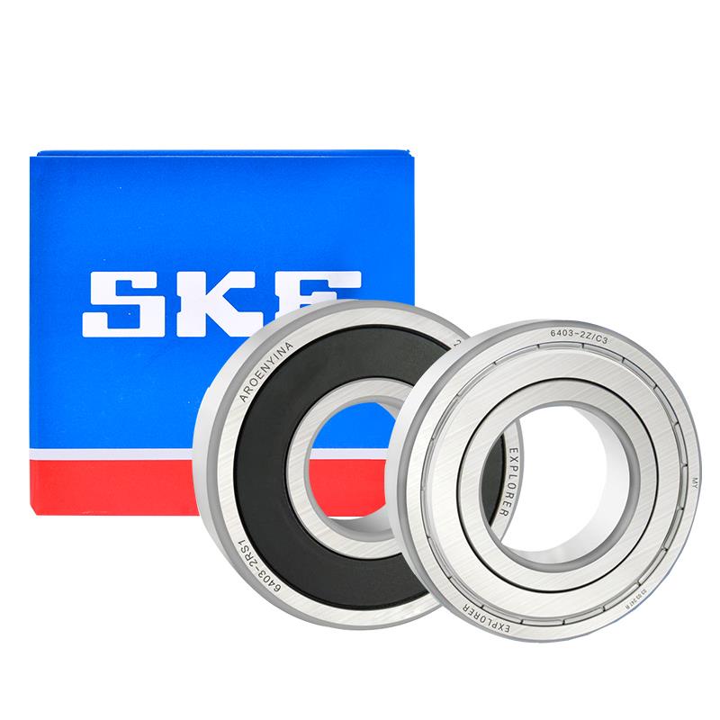 SKF进口不锈钢轴承 S W 6307 6308 6309 6310 6311 6312 6313 2Z
