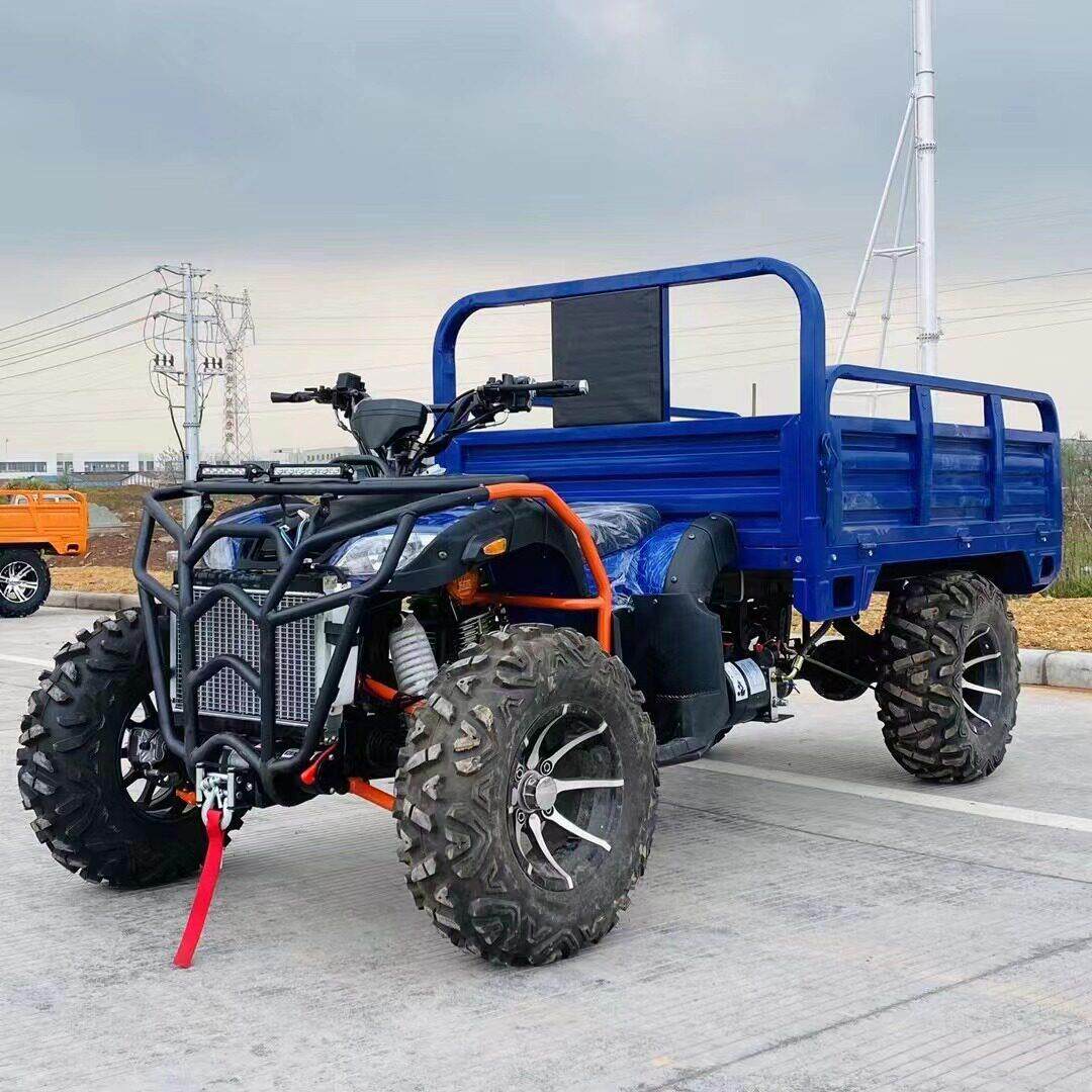 300cc排量2米的斗汽油款带沙滩车