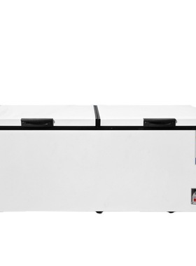 外贸出口商用大容量冰箱deep freezer冷藏冷冻两用冷冻柜