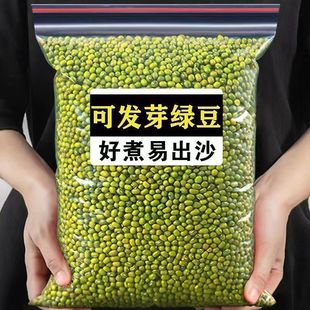 当季 新货生绿豆绿豆粥煲汤料发芽新鲜营养健康颗粒饱消暑煮粥批发