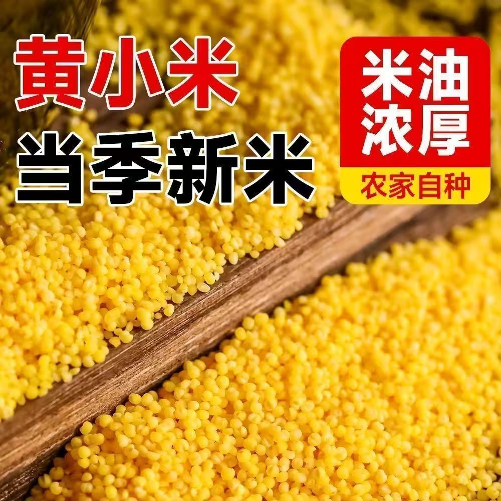 当季新黄小米5斤农家小米新鲜五谷杂粮米油煮粥孕妇粥月子营养粥