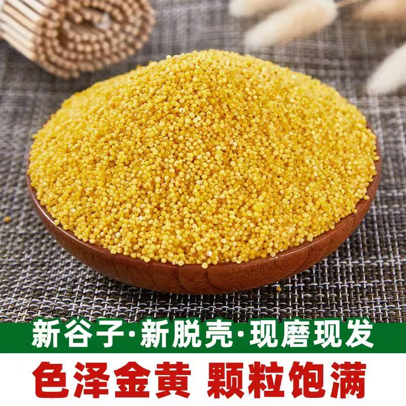 当季新黄小米新鲜小米金黄软糯米油产地直发一斤粗粮熬粥月子米粥