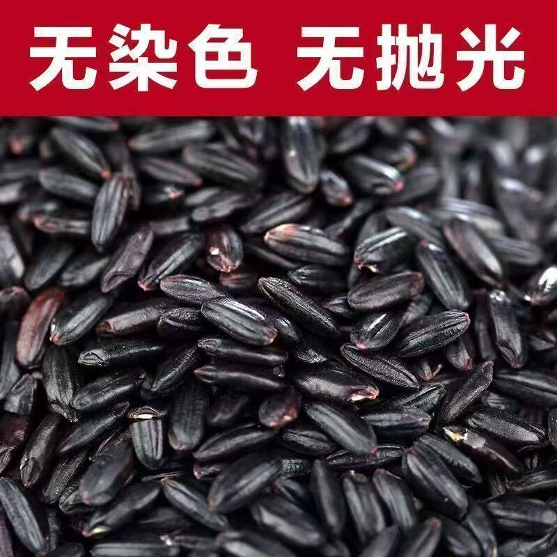 净重5斤新黑米优质农家无染色黑紫香米甜品农家五谷杂粮