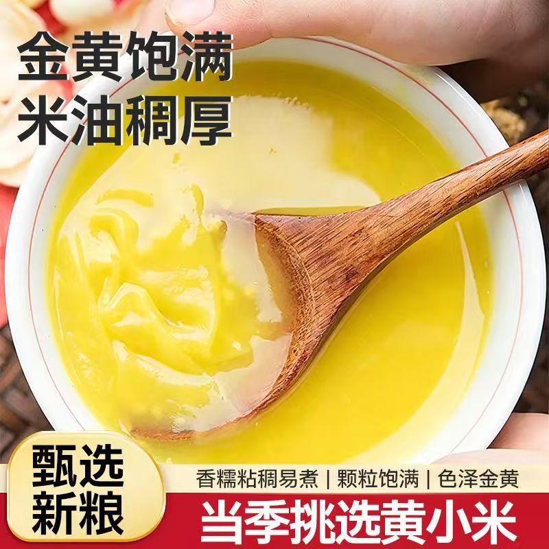 黄小米新米农家自产小黄米五谷杂粮糯小米粥早餐煲粥米油丰厚尝鲜