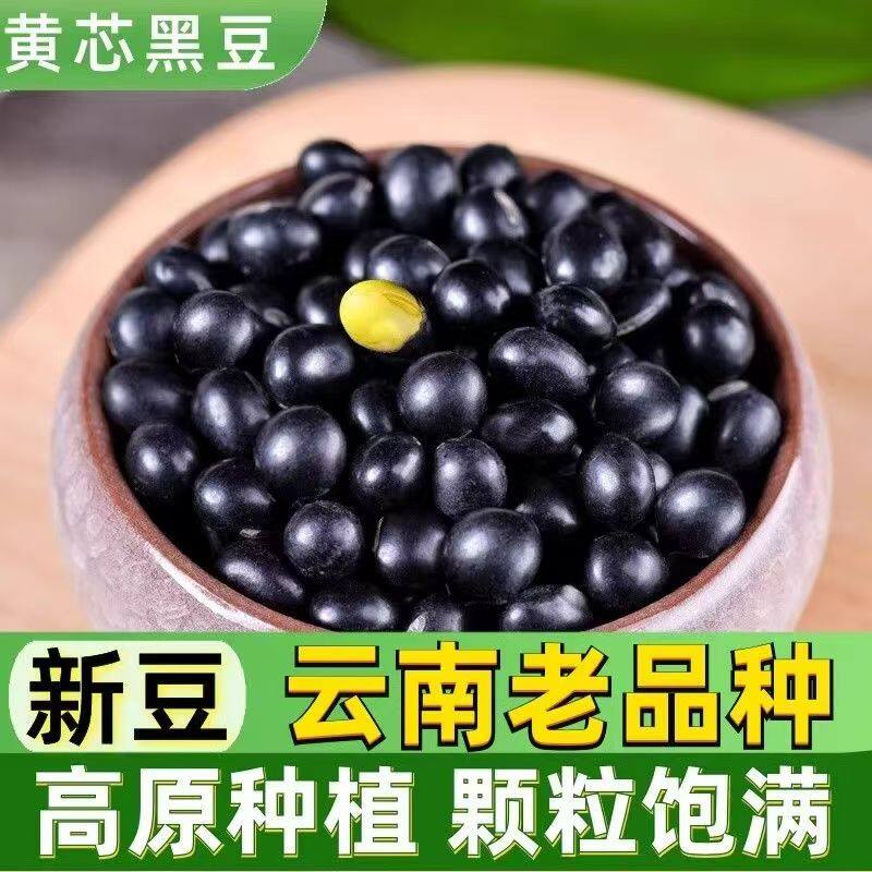 陕北肾形黄芯黑豆500g袋装新货农家发芽泡醋打豆浆杂粮正宗