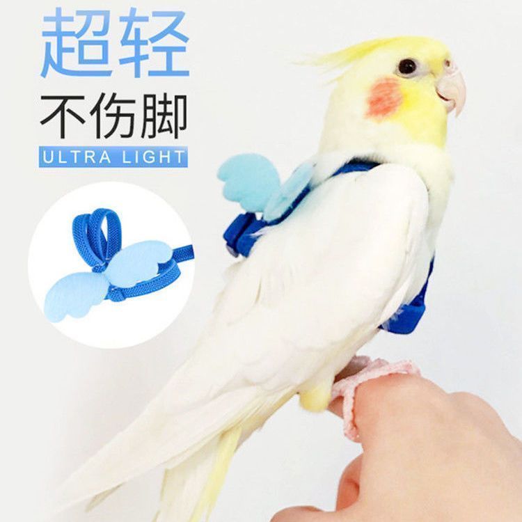 虎皮牡丹玄风鹦鹉外出飞行绳背带牵引绳训练遛鸟放飞器具