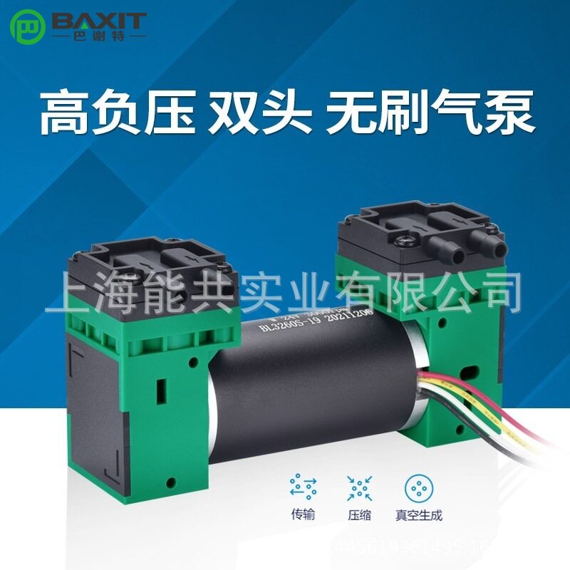 双头微型真空泵12V负压泵24V小型打气泵可调速无刷压力泵G4BL-2泵