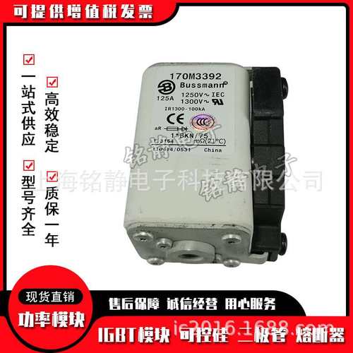 170M3458 170M3459 170M3460 170M3461巴斯曼熔断器170M3462