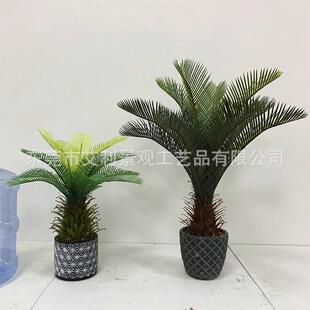 苏铁树盆栽办公室客厅阳台装饰盆景绿植假树植物