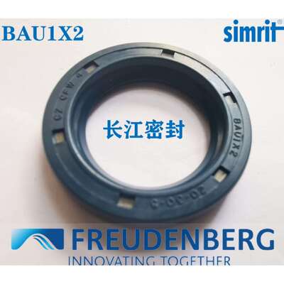 95-145-13/10BAU5SLX2CFWA德国骨架油封