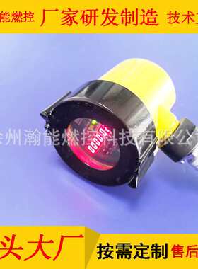 火焰检测器SUV 2 30210002