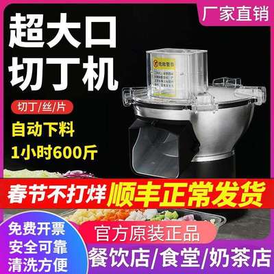 切丁机商用电动多功能小型蔬菜土豆萝卜片丝切块机切丁神器全自动