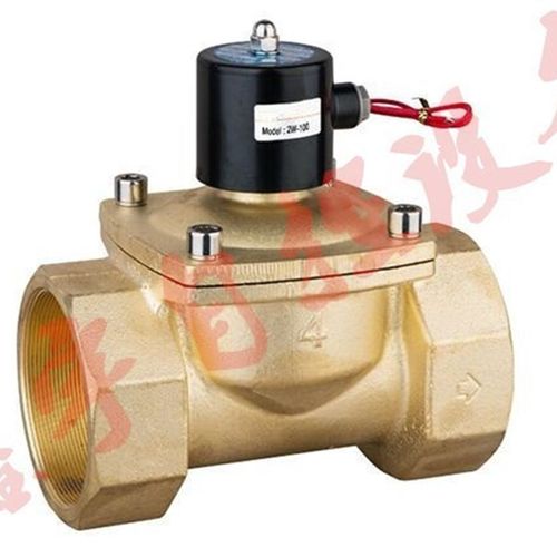 电磁开关阀2W-1000n-100 AC220V 常闭二位二通电磁阀 DN100 4寸