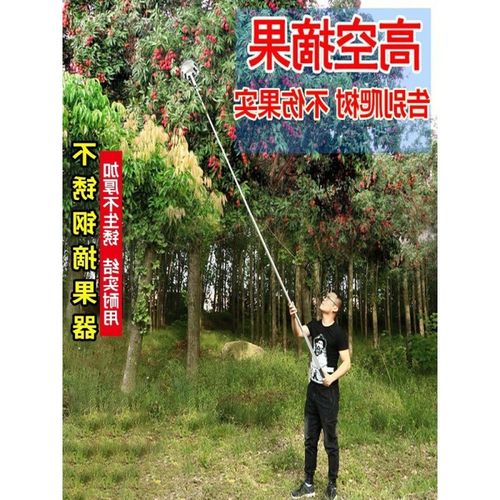 摘果采摘柿子杨梅荔枝高枝w剪伸缩杆高空摘水果剪刀加长修枝剪
