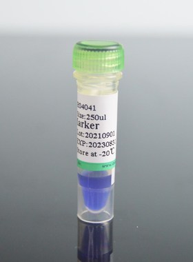 DL2000 50T 250ul DNA Marker DNA分子量标准R R04041 核酸电泳