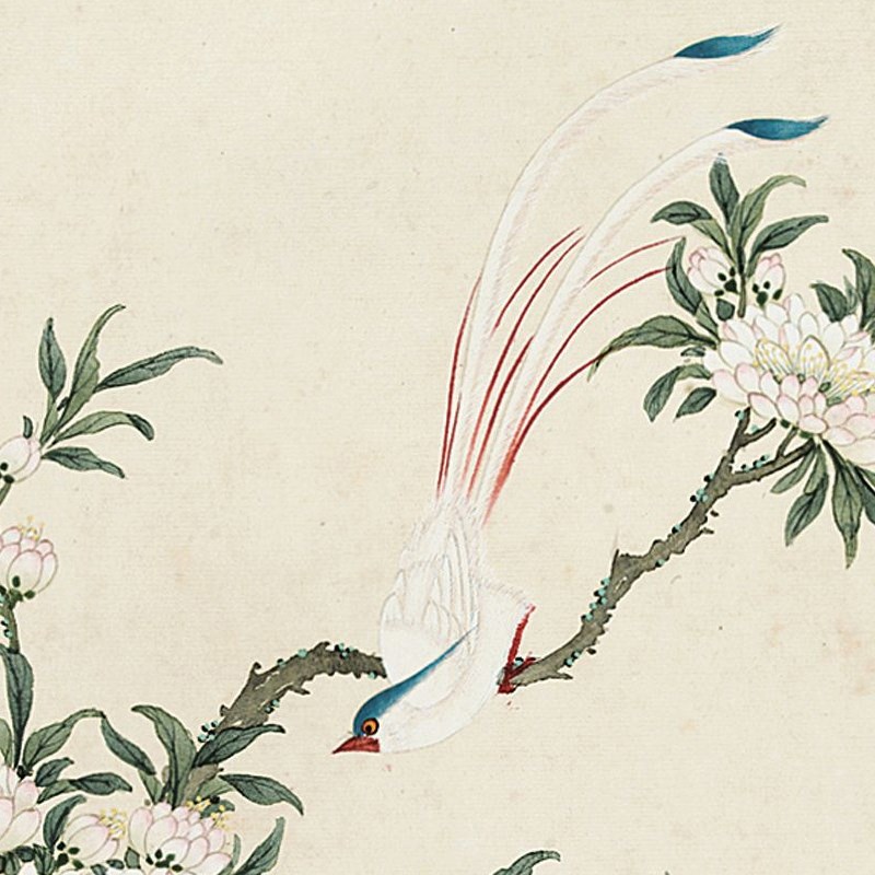 范煟没骨花鸟册i微喷打印没骨工笔花鸟画小品临摹绢布画稿彩色底