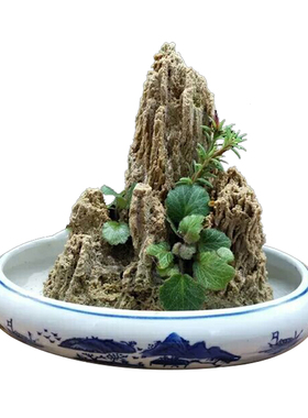 极速15-20厘米吸水石麦管原石假山G盆景装饰摆饰鱼缸造景微景观上