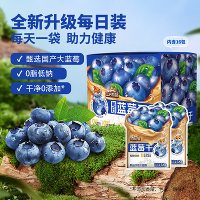 三只松鼠_蓝莓干果干果脯蜜饯