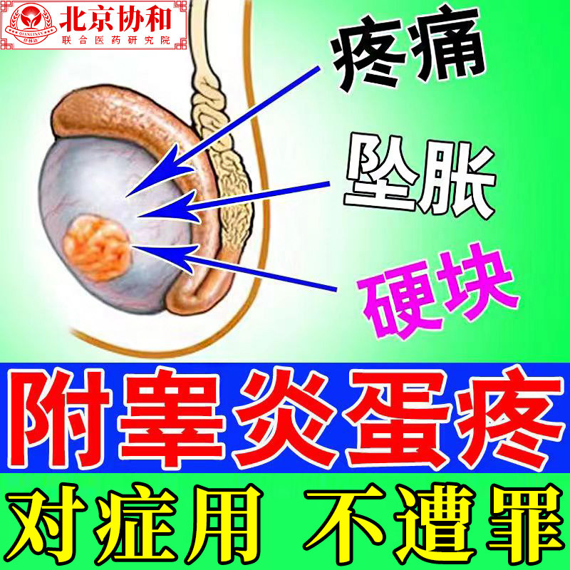 附睾炎硬结专用精索静脉曲张专用药治疗睾丸疼痛附睾炎膏药贴hb