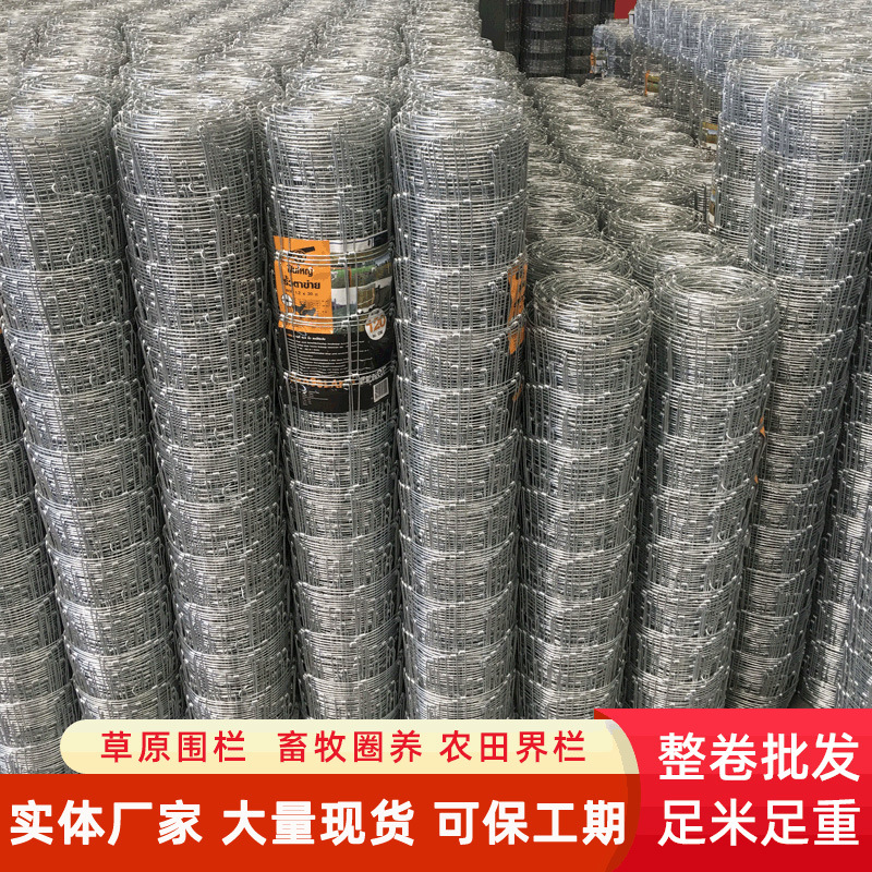 速发养牛栏网不锈钢丝网养殖护栏网养鸡护K围栏网果园圈地网铁丝