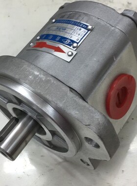 齿轮油泵CBK1012-A1TRv 高压齿轮泵 油泵  四川长江泵代用 液压泵
