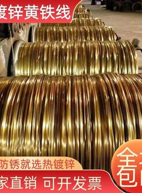 热镀锌防锈黄色铁丝编织丝园艺铁丝手工铁丝火龙果葡萄架拉线绑线