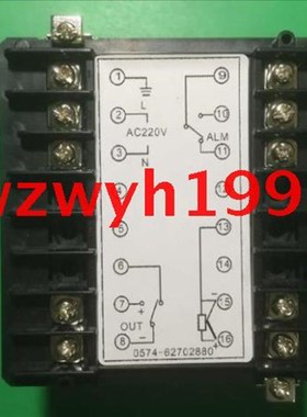 HOPE科洋XgW-D900温控仪XW-D900B-H31J01余姚仪表XWD900