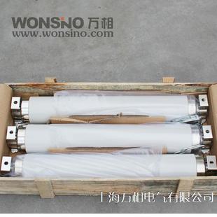 10A 16A 50A 40.5 35KV高压限流熔断 31.5A 6.3A 25A XRNT1b 20A