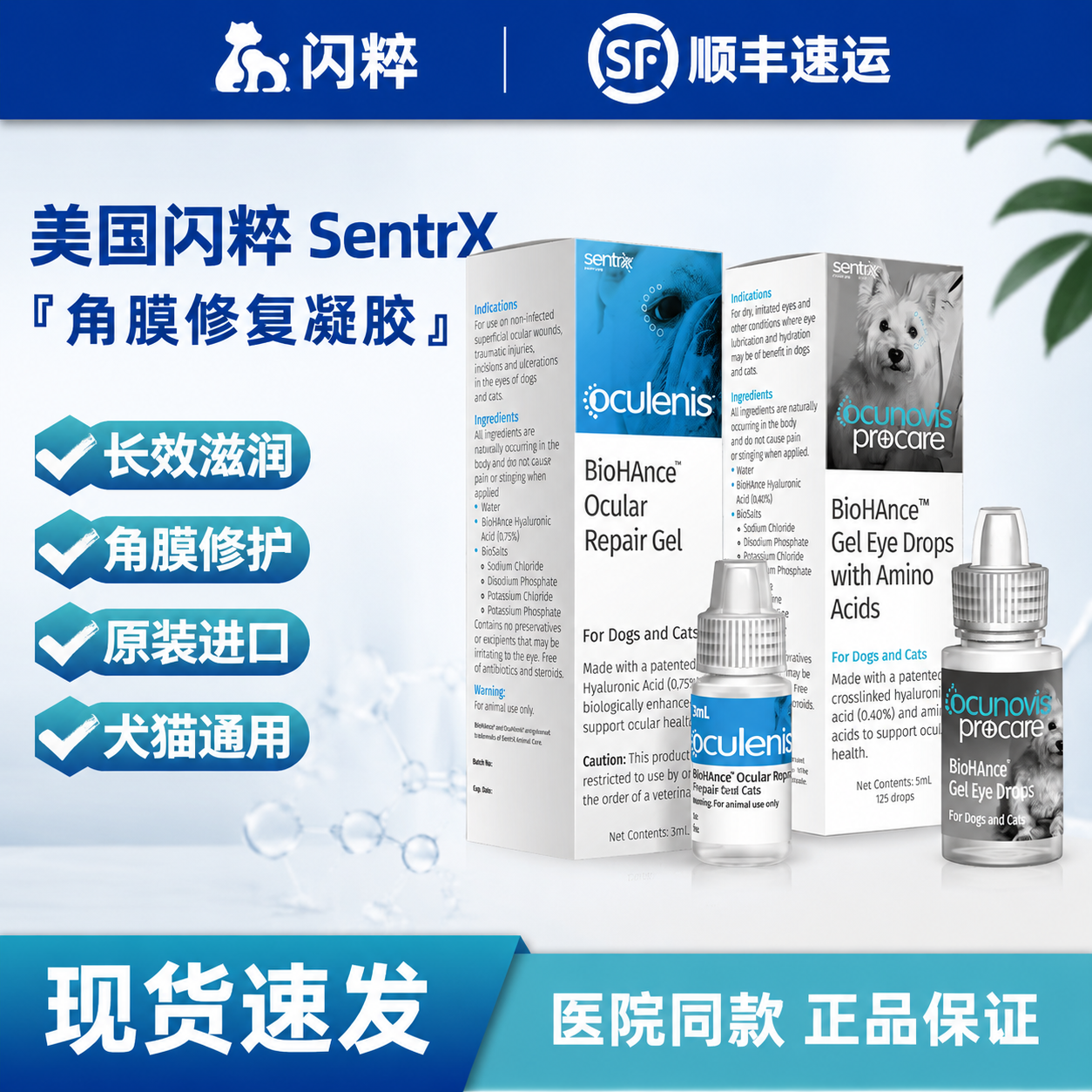 闪粹宠物角膜修复凝胶滴眼护理用