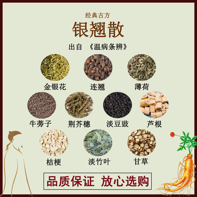 银翘散金银花连翘薄荷牛蒡子荆芥穗淡豆豉芦根桔梗淡竹叶甘草药饲