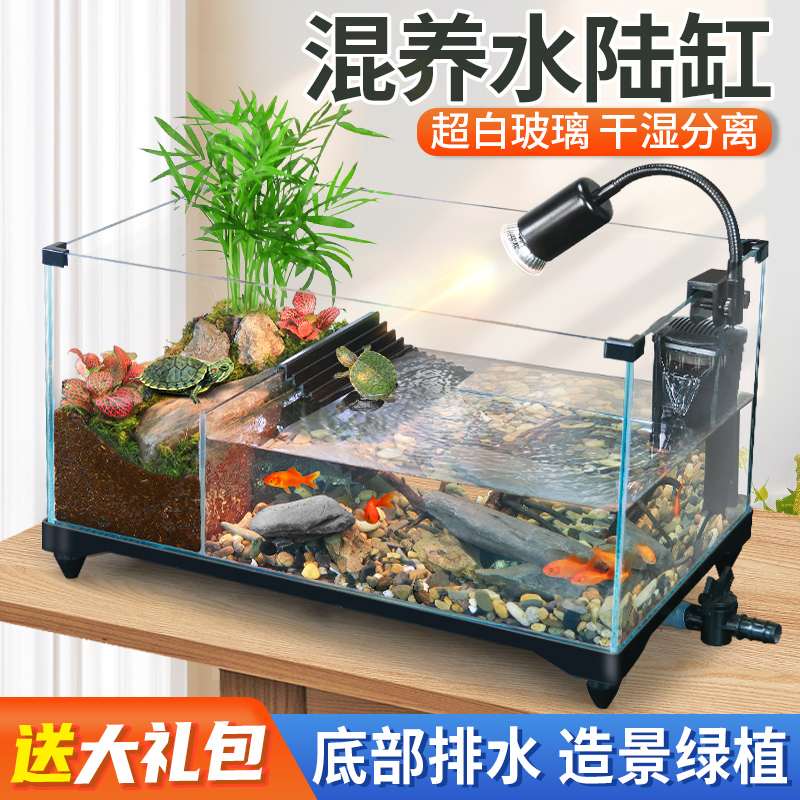 超白玻璃生态两栖水陆龟鱼混养缸