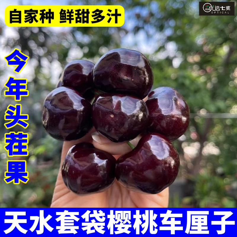 甘肃天水套袋黑珍珠车厘子现货