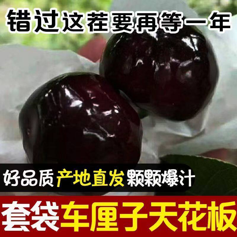 空运甘肃天水套袋大樱桃
