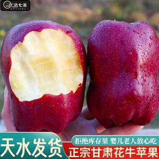 粉面苹果水果批发彩箱 天水花牛苹果新鲜粉面甘肃应季 果园直发