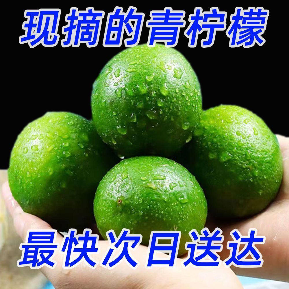 青柠檬新鲜水果绿色青皮鲜果当季现摘整箱酸甜小金桔橘厚皮有籽
