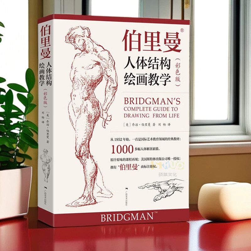 伯里曼人体结构绘画教学彩色版 高清还原图画稿版 人体结构造型手绘技法艺用人体构解剖人物模型素描速写临摹动漫美术结构教程书