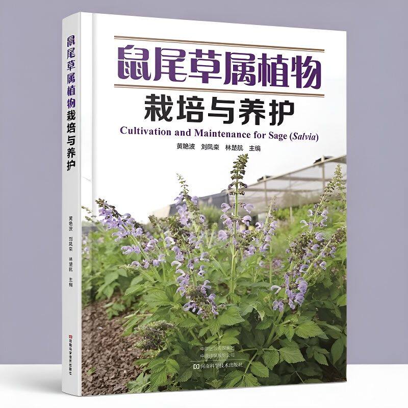 鼠尾草属植物栽培与养护 黄艳波 刘凤栾 林楚航 鼠尾草属植物的生物学特征和引种栽培养护技术规程书籍