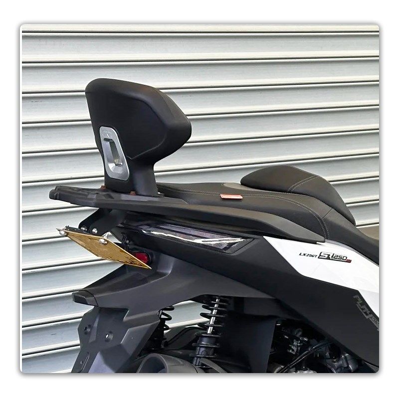 适用无极SR250GTo后靠背 护腰后坐垫 大号加大款背靠腰靠改装配件