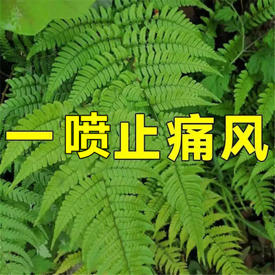 迪根骨关节炎专用药类风湿性关节炎手指变形肿大痛风冷敷疑胶新版