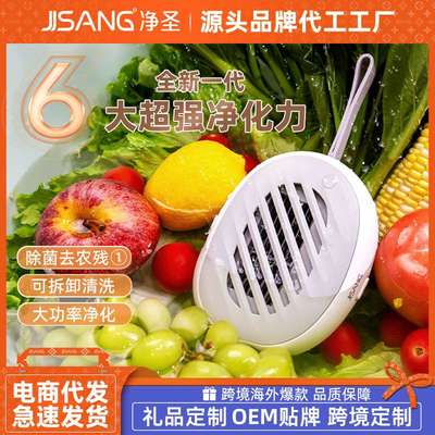 食材机去农残蔬菜净化器家用水果清洗机便携式净化净圣果蔬清洗机