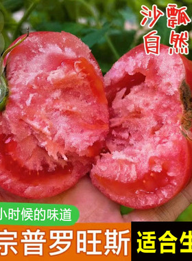 四川攀枝花露天沙瓤水果西红柿9斤新鲜自然熟生吃老品种普罗旺斯5