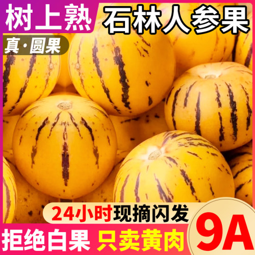 云南石林人参果新鲜水果当季现摘整箱树上熟黄果圆果人生果包邮
