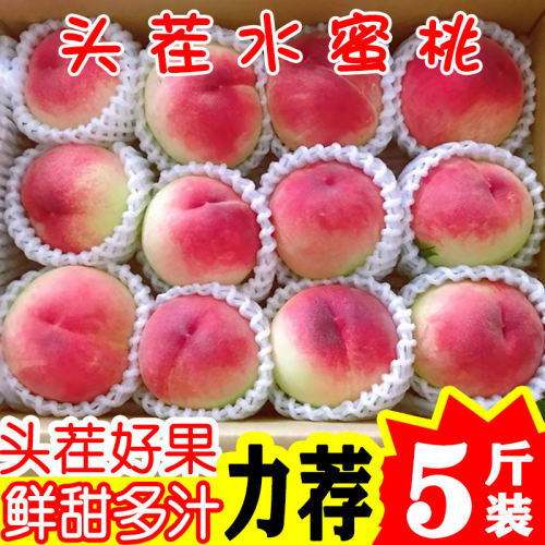 现货水蜜桃应当季桃新鲜水果当季现摘时令露天整箱5斤软脆桃子