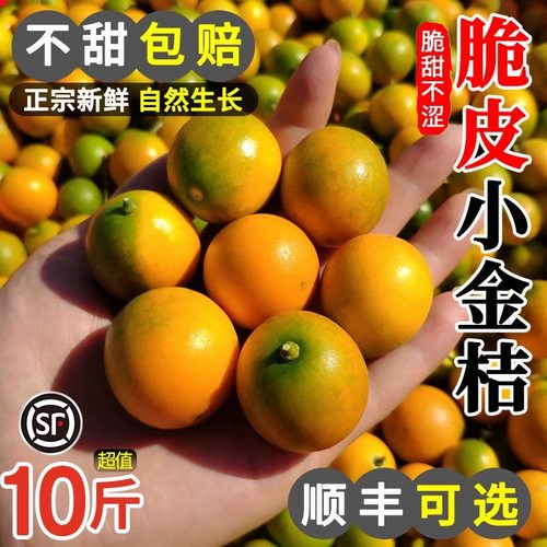 桂林脆皮金桔现摘新鲜水果纯甜不酸冰糖心广西小金桔农家种植包邮