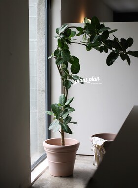 新Garden  o嘉伯瑞花盆塑胶花盆 大号加厚耐用大口径仿陶瓷花盆