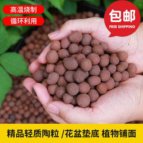 花盆垫底铺面陶粒养花绿萝花卉多肉水培盆栽园艺兰花轻质蝴蝶兰